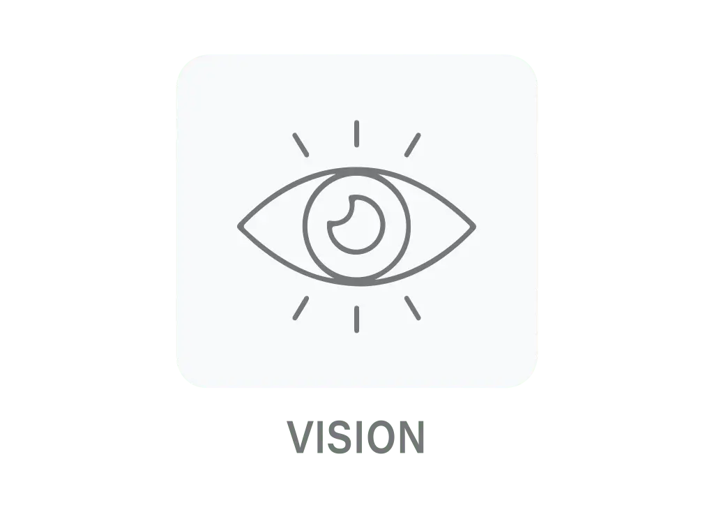 Our Vision